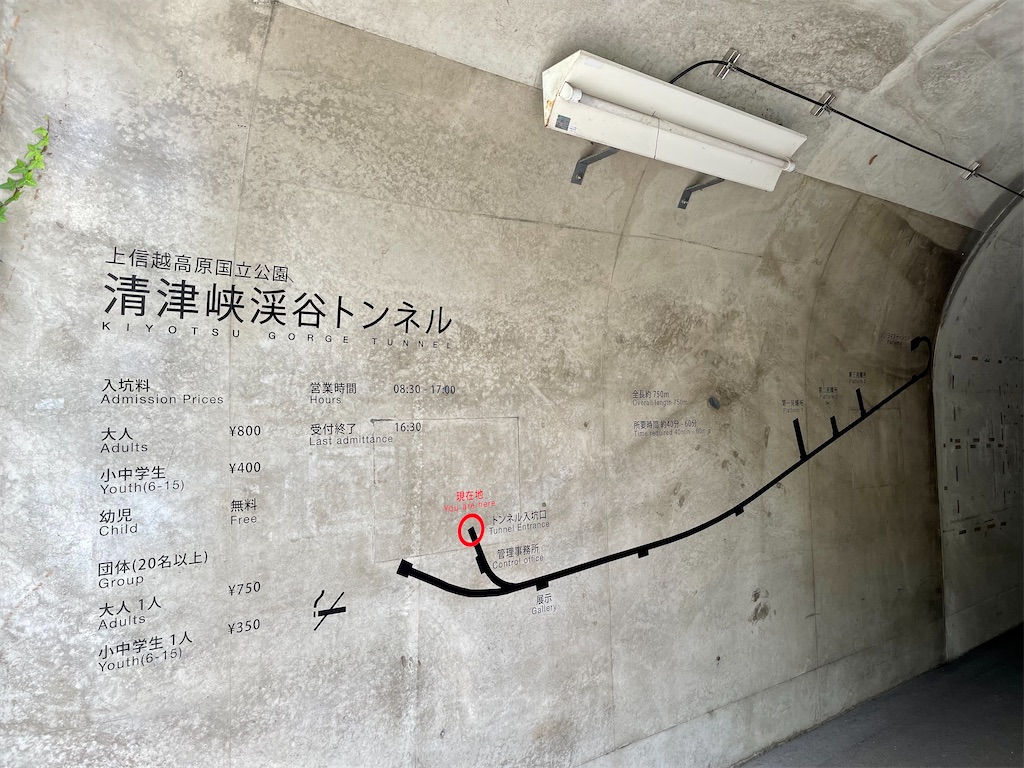 f:id:BMW-KEI:20210708052230j:image