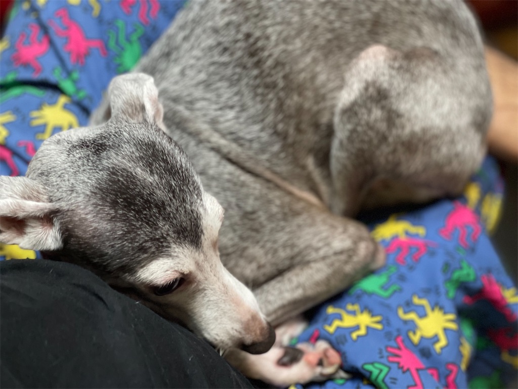 f:id:BMW-KEI:20210930095917j:image