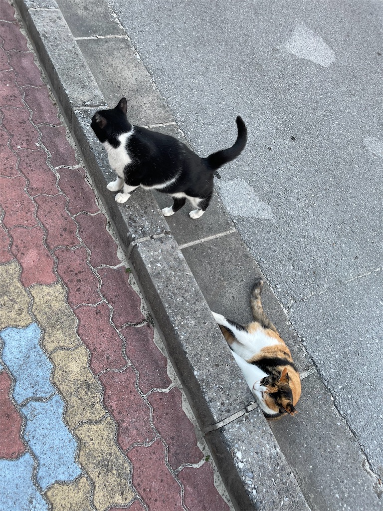 f:id:BMW-KEI:20211017050930j:image f:id:BMW-KEI:20211017050930j:image