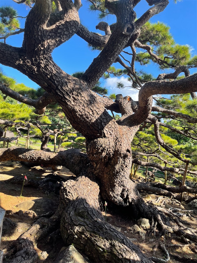 f:id:BMW-KEI:20211023062837j:image f:id:BMW-KEI:20211023062837j:image