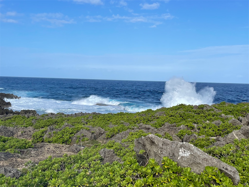 f:id:BMW-KEI:20211027110409j:image f:id:BMW-KEI:20211027110409j:image