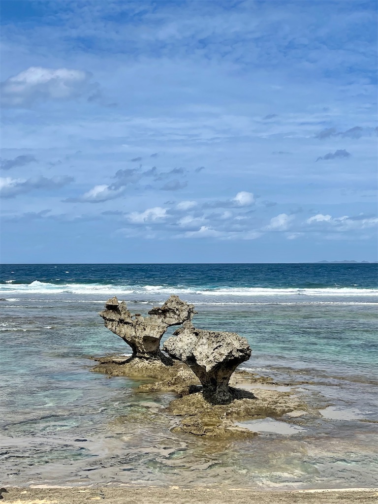 f:id:BMW-KEI:20211027110501j:image f:id:BMW-KEI:20211027110501j:image