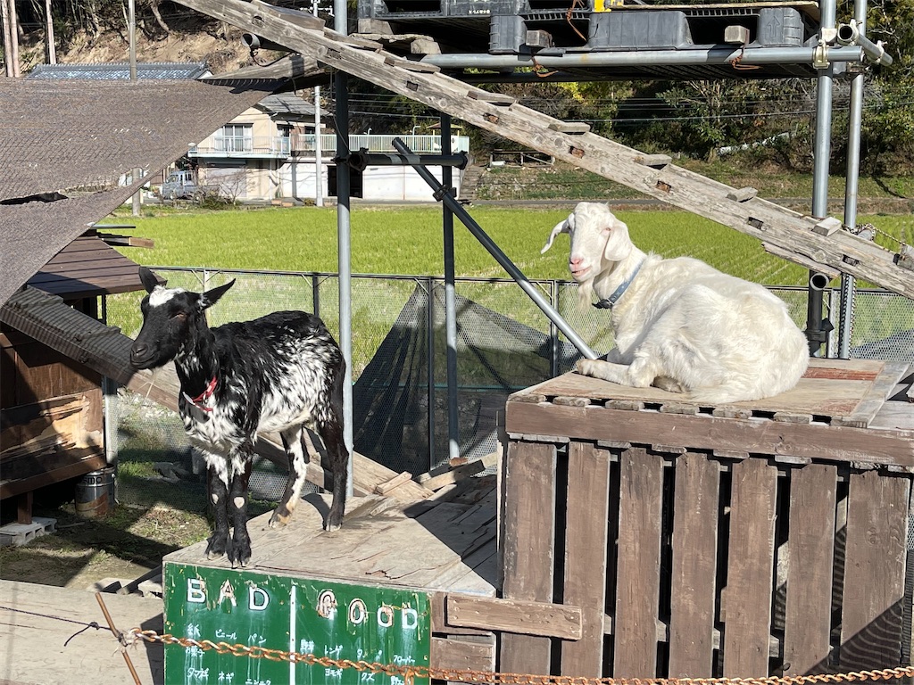 f:id:BMW-KEI:20211111131324j:image