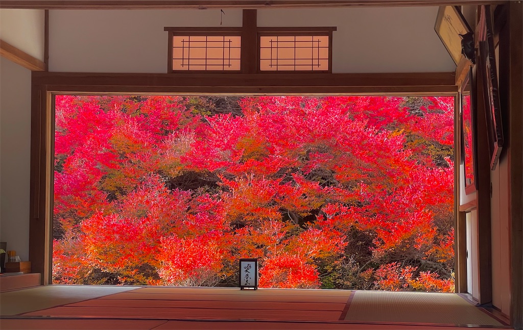 f:id:BMW-KEI:20211115211213j:image f:id:BMW-KEI:20211115211213j:image