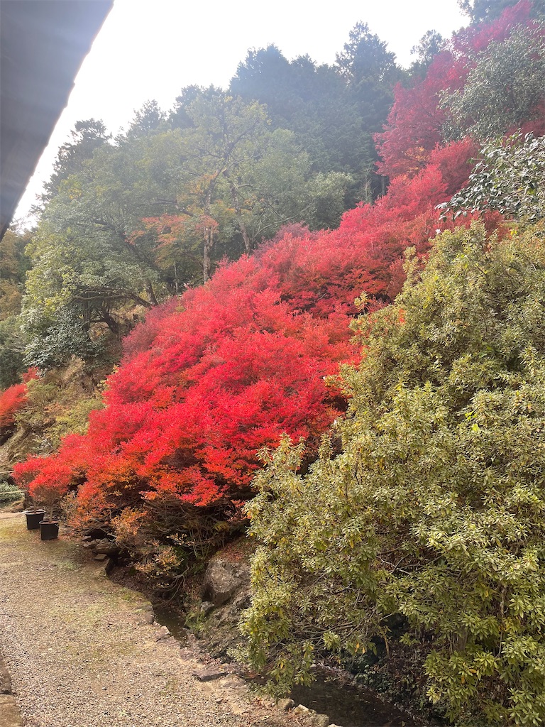 f:id:BMW-KEI:20211115211301j:image f:id:BMW-KEI:20211115211301j:image