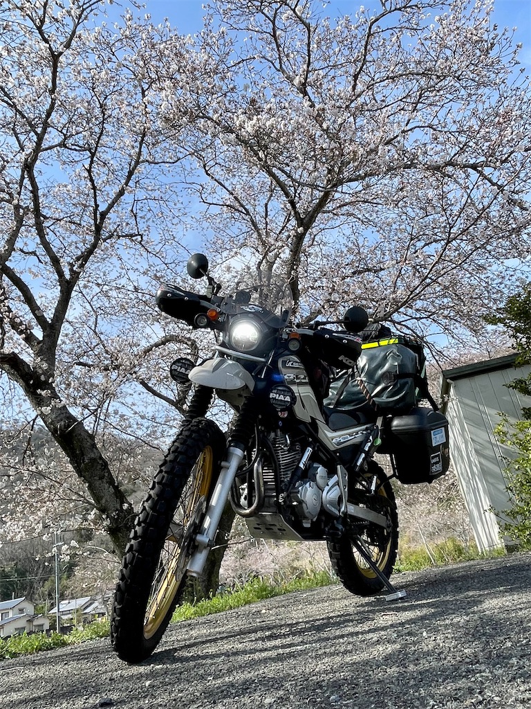 f:id:BMW-KEI:20220405203748j:image