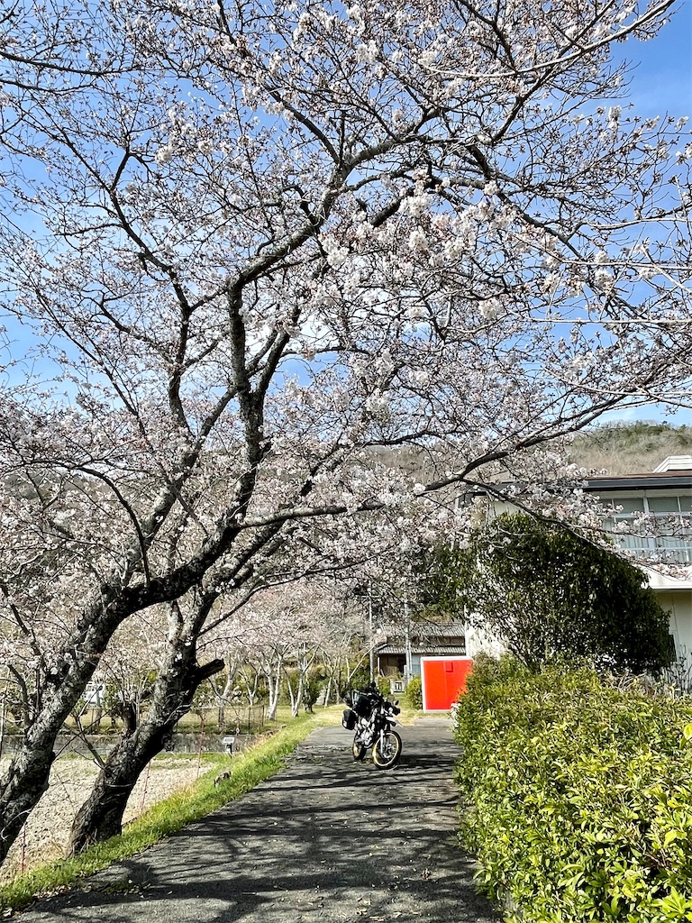 f:id:BMW-KEI:20220405203801j:image