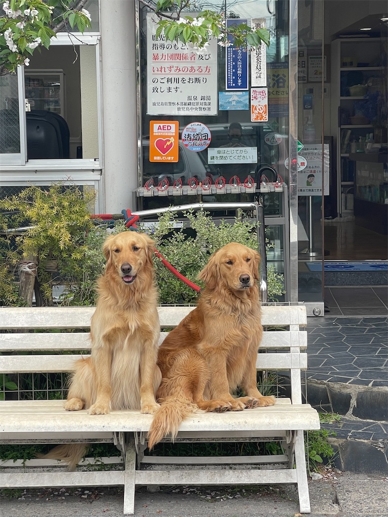 f:id:BMW-KEI:20220408201809j:image