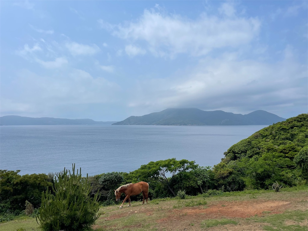 f:id:BMW-KEI:20220606061236j:image