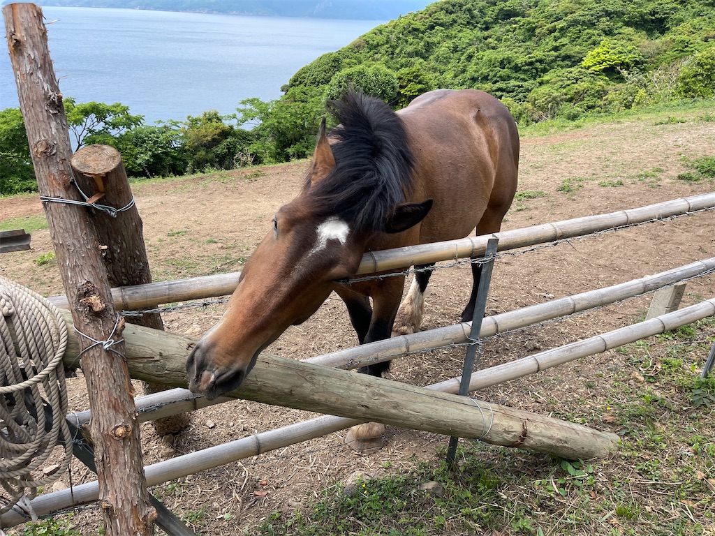 f:id:BMW-KEI:20220606061347j:image