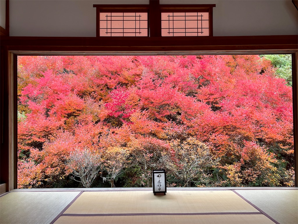 f:id:BMW-KEI:20221114210402j:image