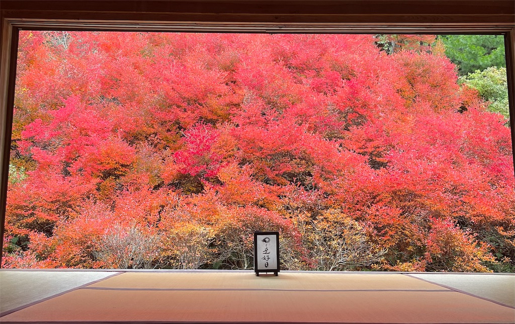 f:id:BMW-KEI:20221114210406j:image