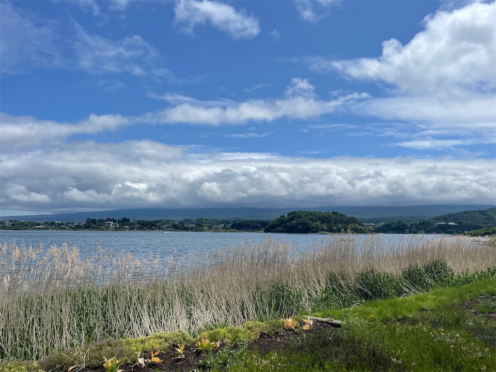 f:id:BMW-KEI:20230526101300j:image f:id:BMW-KEI:20230526101300j:image