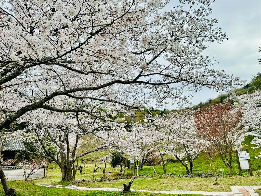 f:id:BMW-KEI:20240411101209j:image