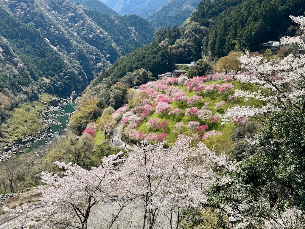 f:id:BMW-KEI:20250405141925j:image