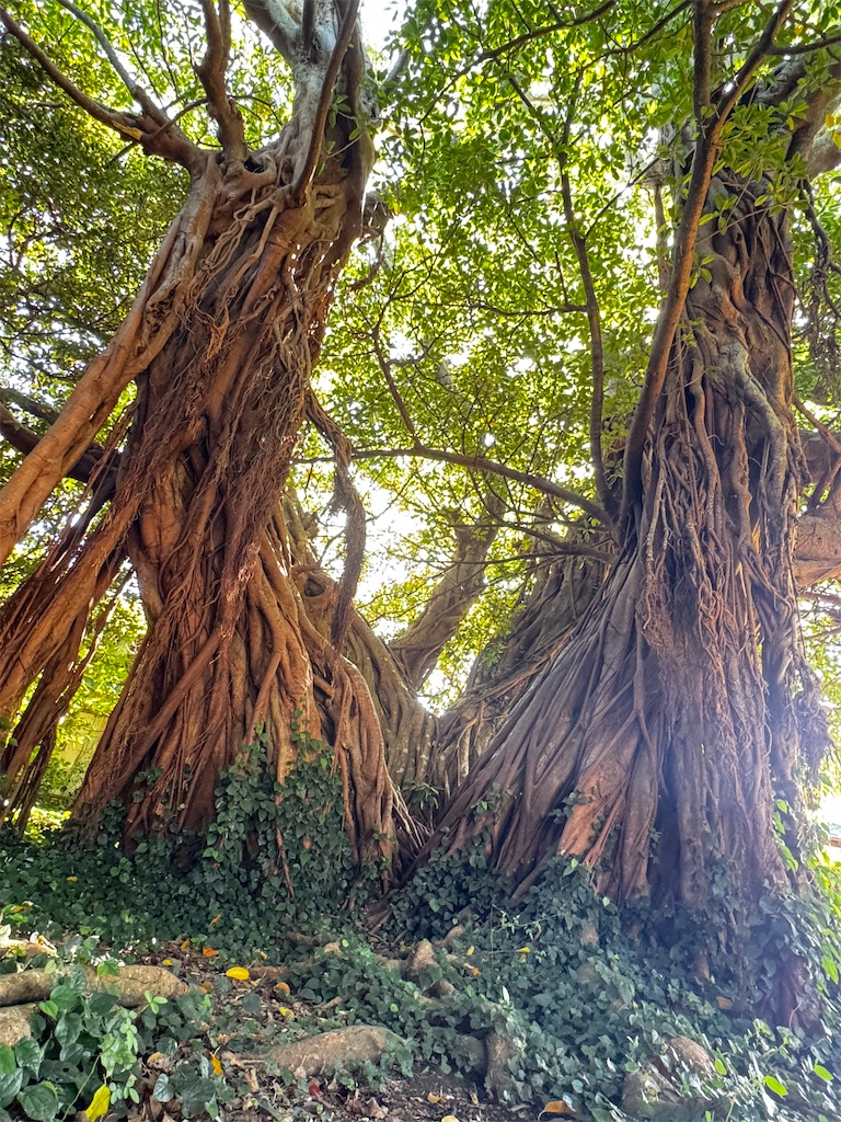 f:id:BMW-KEI:20251021112628j:image