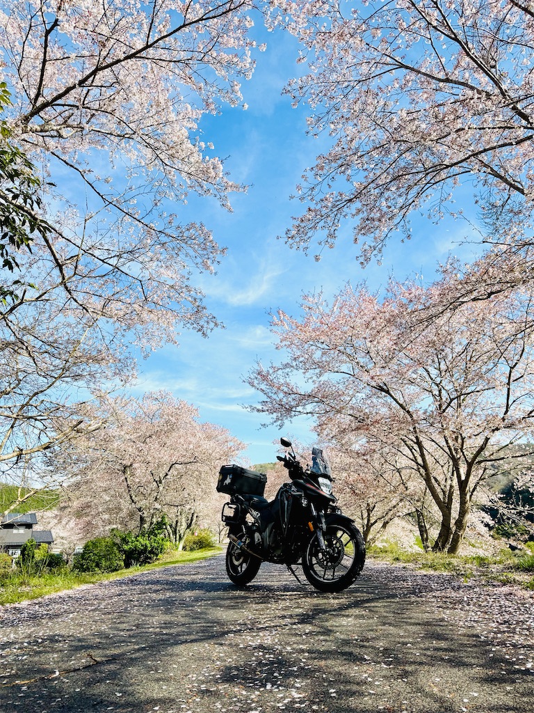 f:id:BMW-KEI:20260406201112j:image
