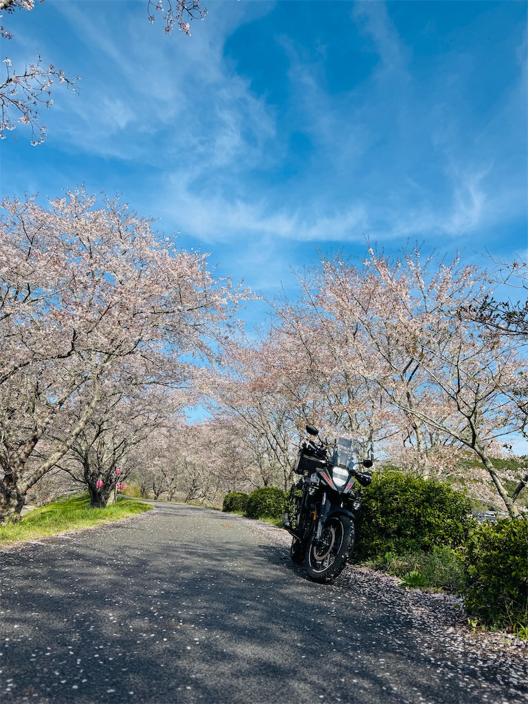 f:id:BMW-KEI:20260406201138j:image