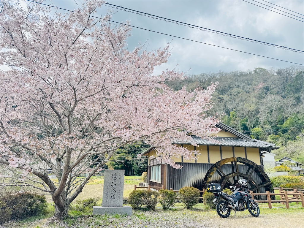 f:id:BMW-KEI:20260406201147j:image