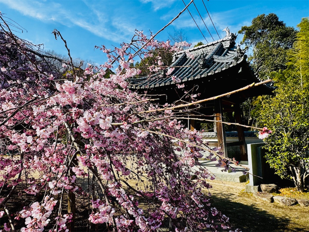 f:id:BMW-KEI:20260407093623j:image