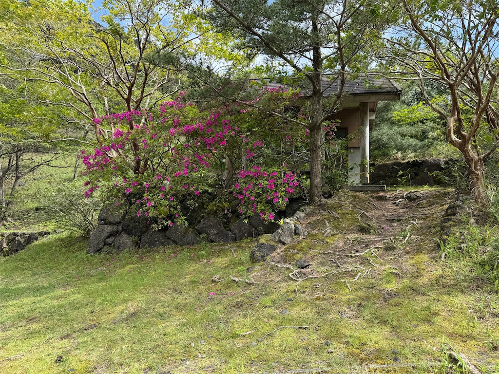 f:id:BMW-KEI:20260419162951j:image