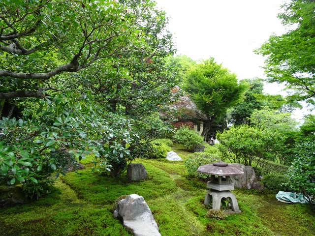 f:id:BMbitman:20220623160653j:image