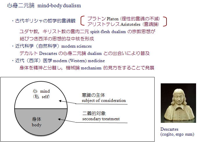 心身二元論について分かりやすく解説 文系の雑学 豆知識