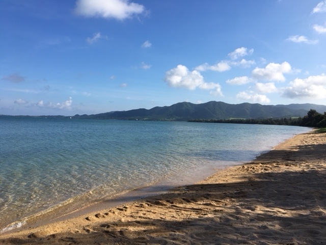 f:id:BNR34hiro:20181204223937j:plain f:id:BNR34hiro:20181204223937j:plain