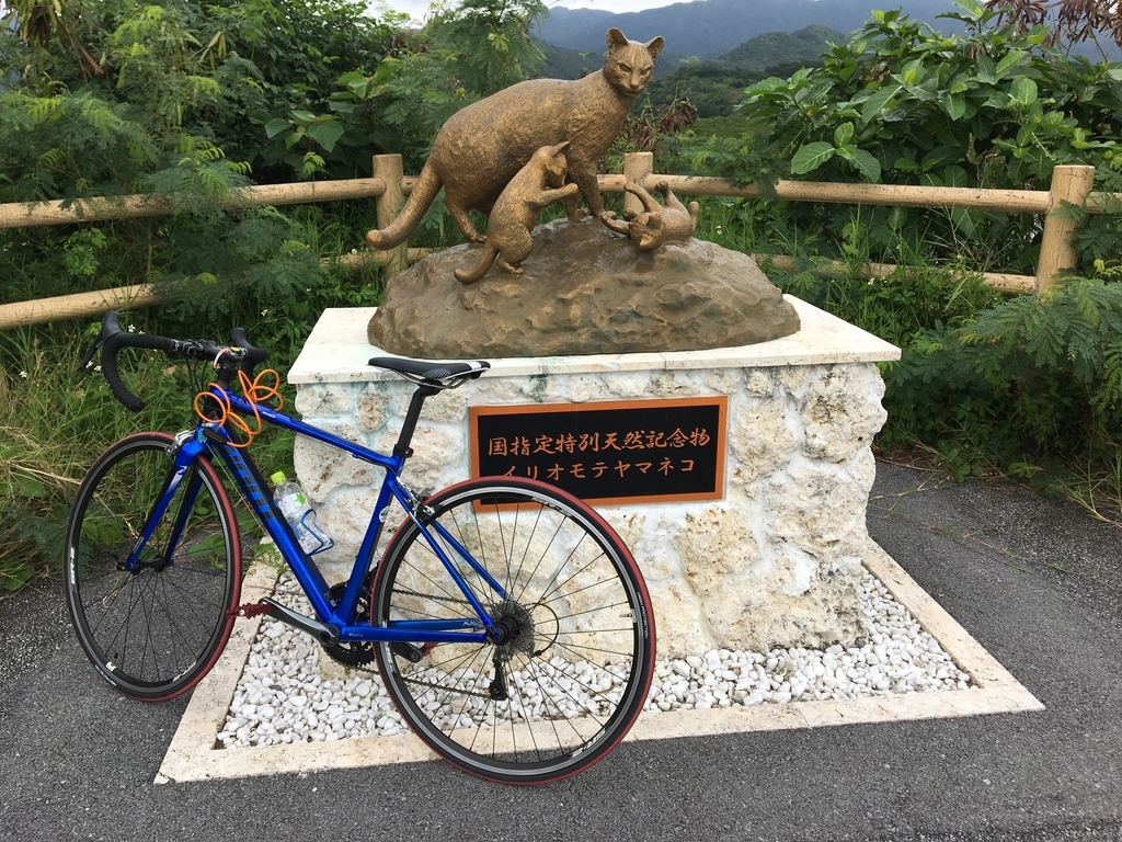 f:id:BNR34hiro:20181204233051j:plain f:id:BNR34hiro:20181204233051j:plain