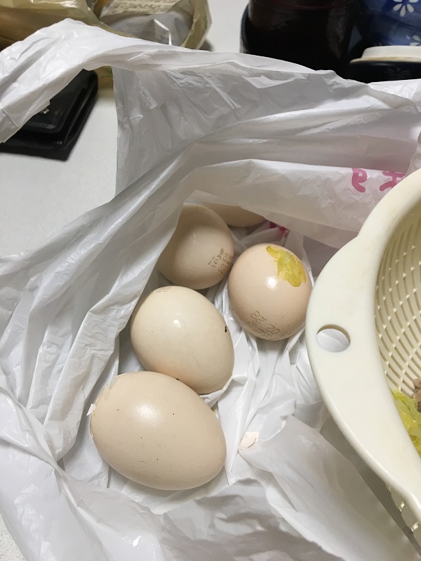f:id:BNR34hiro:20190219015416j:plain f:id:BNR34hiro:20190219015416j:plain