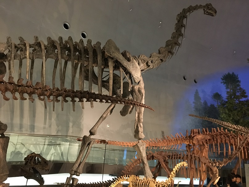 f:id:BNR34hiro:20190331085956j:plain