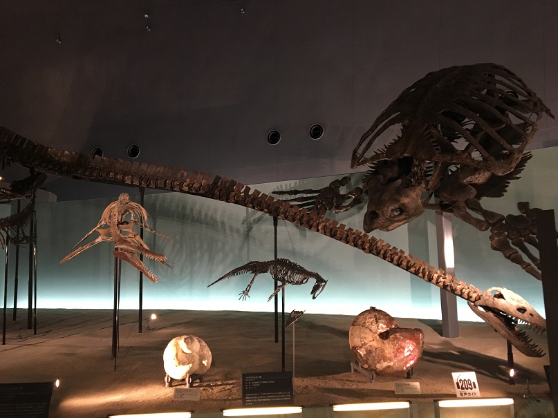 f:id:BNR34hiro:20190331094445j:plain