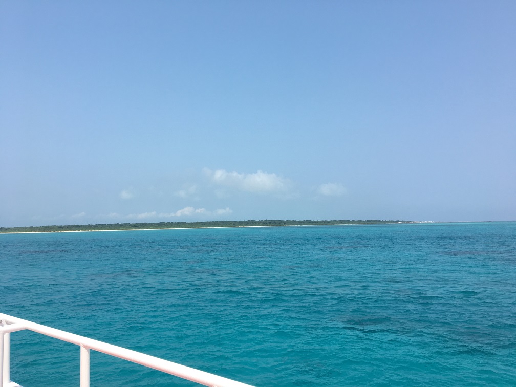 f:id:BNR34hiro:20190413173521j:plain f:id:BNR34hiro:20190413173521j:plain