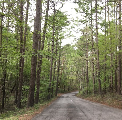 f:id:BNR34hiro:20190526223652j:plain