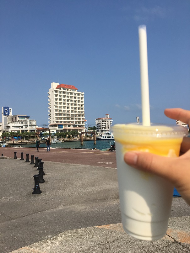 f:id:BNR34hiro:20190714012346j:plain f:id:BNR34hiro:20190714012346j:plain