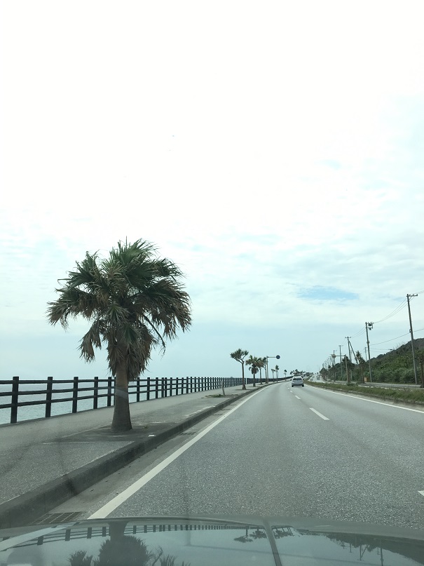 f:id:BNR34hiro:20191217210837j:plain f:id:BNR34hiro:20191217210837j:plain