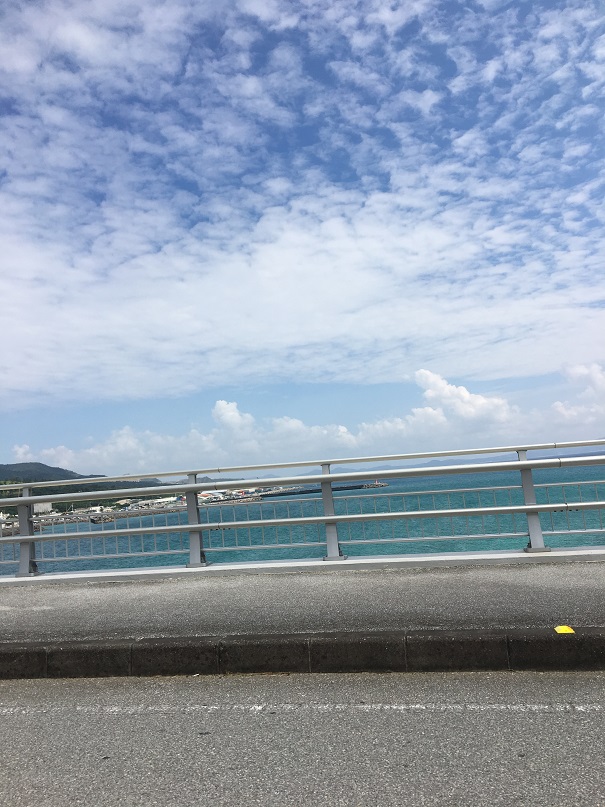 f:id:BNR34hiro:20191225142636j:plain f:id:BNR34hiro:20191225142636j:plain