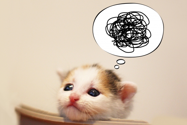 f:id:BNR34hiro:20200127093727j:plain