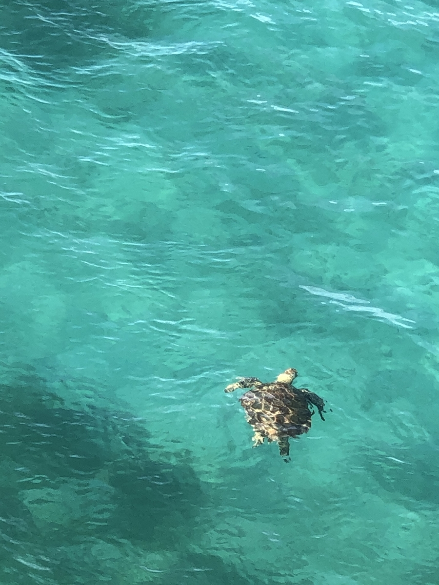 f:id:BNR34hiro:20200924100437j:plain