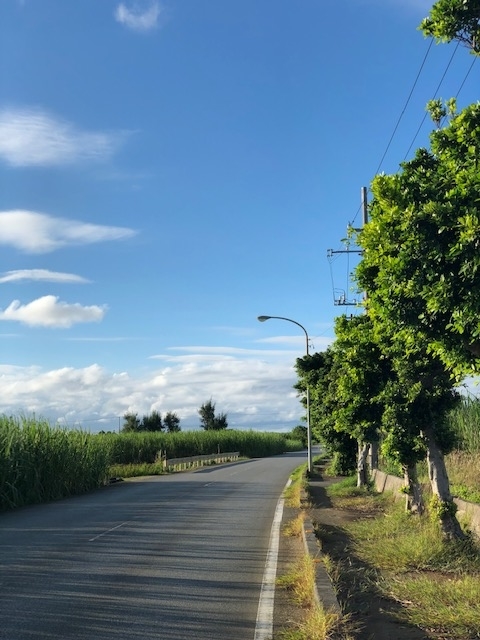 f:id:BNR34hiro:20201002140029j:plain