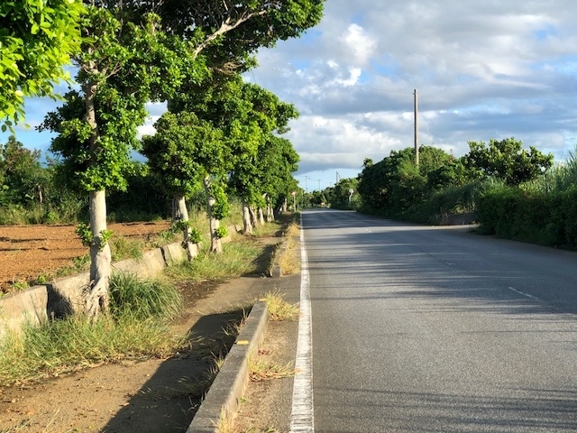 f:id:BNR34hiro:20201002140033j:plain