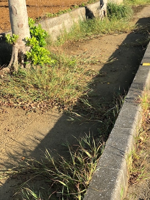 f:id:BNR34hiro:20201002140040j:plain