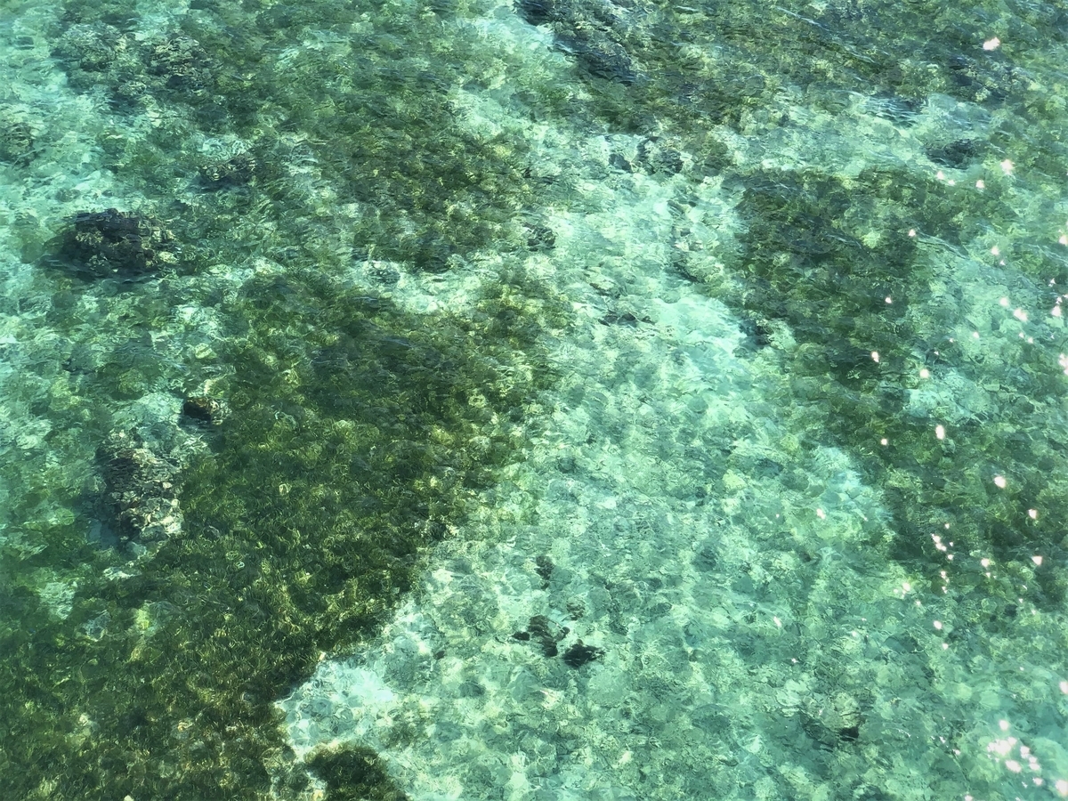 f:id:BNR34hiro:20201026135513j:plain