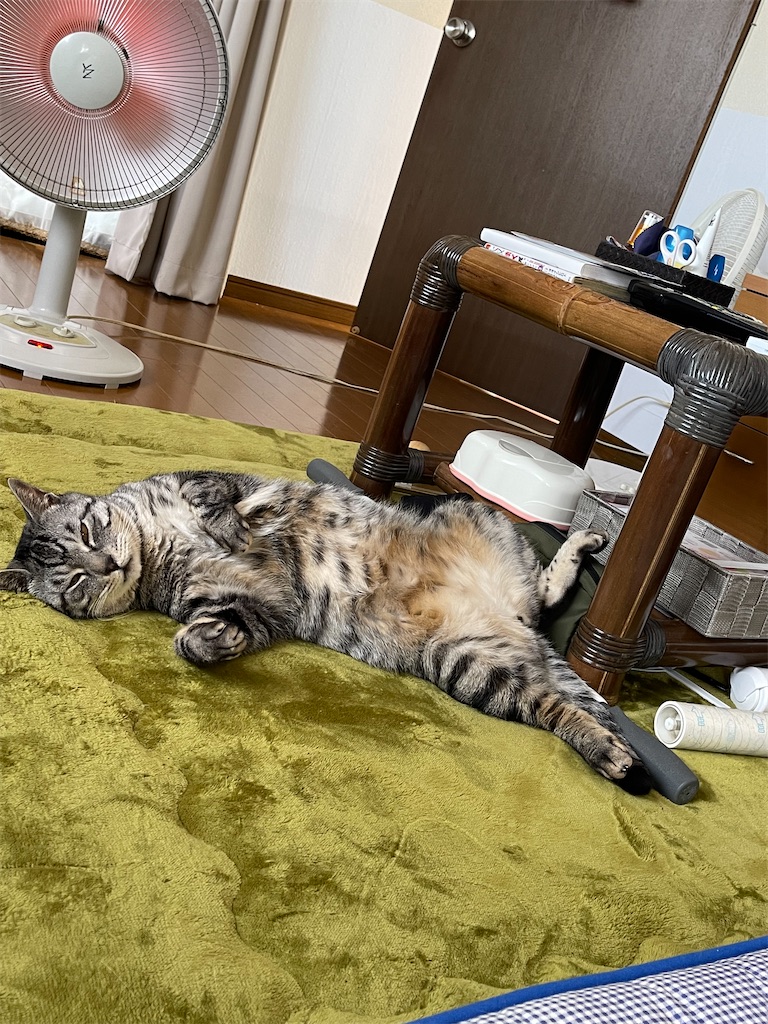 f:id:BODYSTOICshizuoka:20220131201741j:image f:id:BODYSTOICshizuoka:20220131201741j:image