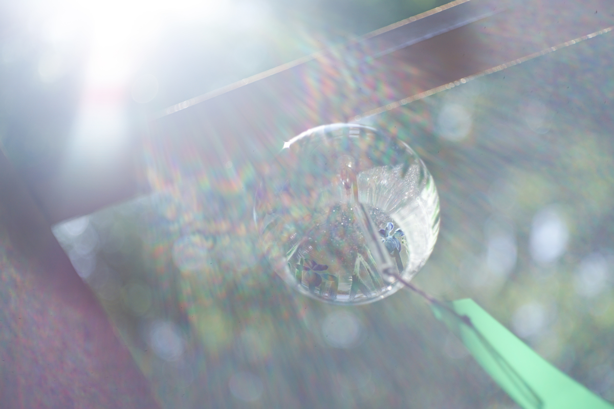 17. 「 Meyer-Optik Domiplan 50mm F2.8」ボケフォト的 作例