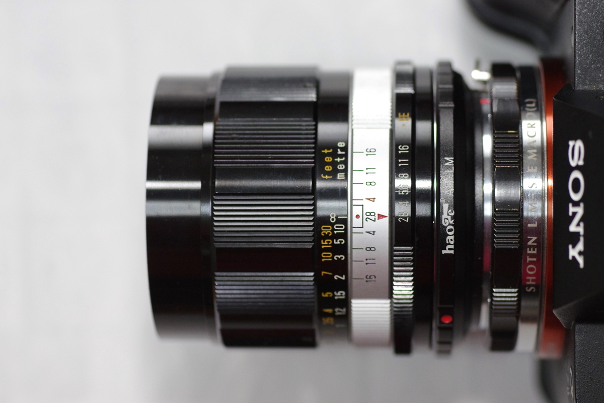 39. 「KONICA HEXANON 35mm f2.8」 ボケフォト的 作例 - 「ボケフォト