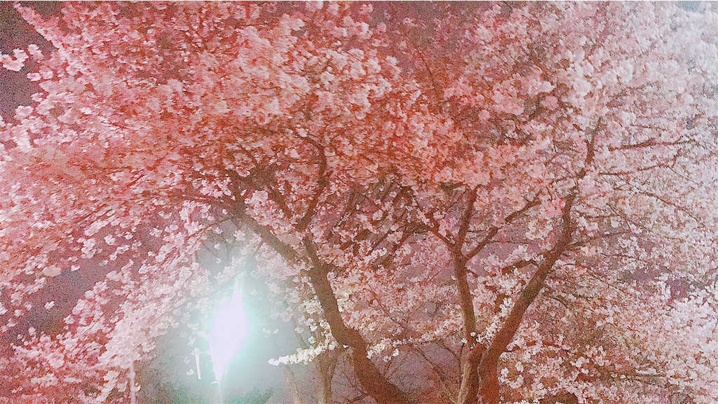 f:id:BONHEURGeNE:20190323015005j:image f:id:BONHEURGeNE:20190323015005j:image