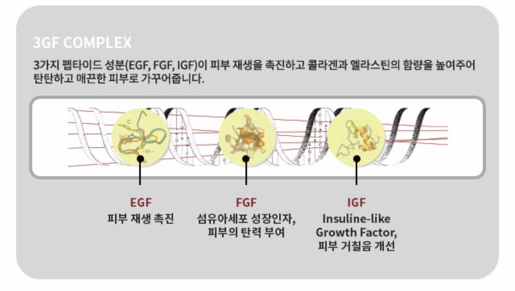 f:id:BONHEURGeNE:20190418143020j:image