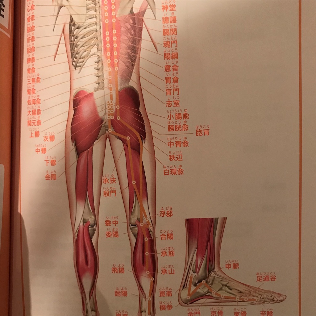 f:id:BRILLIANDROP:20181204111511j:image