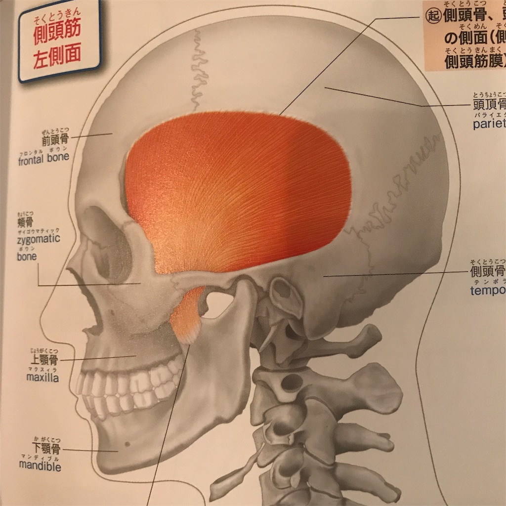 f:id:BRILLIANDROP:20190402150006j:image